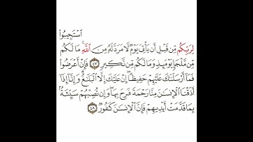 سورة الشورى 17 القسم السابع عشر تكرار كيفي من .. استجيبوا لربكم من قبل أن يأتي يوم .. إلى .. كفور