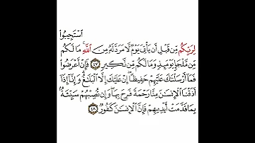 سورة الشورى 17 القسم السابع عشر تكرار كيفي من استجيبوا لربكم من قبل أن يأتي يوم إلى كفور 