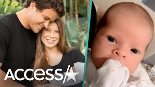Bindi Irwins Adorable New Video Of Baby Grace