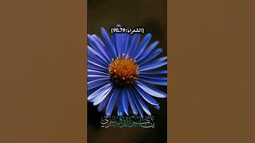 تلاوة آيات (78-90) من سورة الشعراء | الشيخ ياسر الدوسري | خشوع وتدبر #قرآن #تلاوة #اسلام