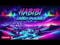 🌙 Noche Habibi Sunset – Chill & Deep Arabic EDM Mix 2026