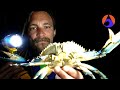 SAILING through GEORGIA | Catching blue CRABS (ICW) [Wildly Intrepid Sailing Ep 92]