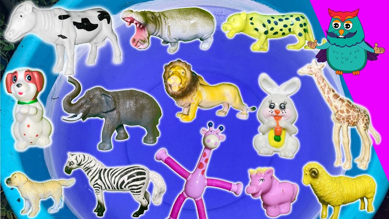 Animal Size Adventure! 🐭🐘 Small Pets & Giant Wild Animals | Educational Video for Toddlers