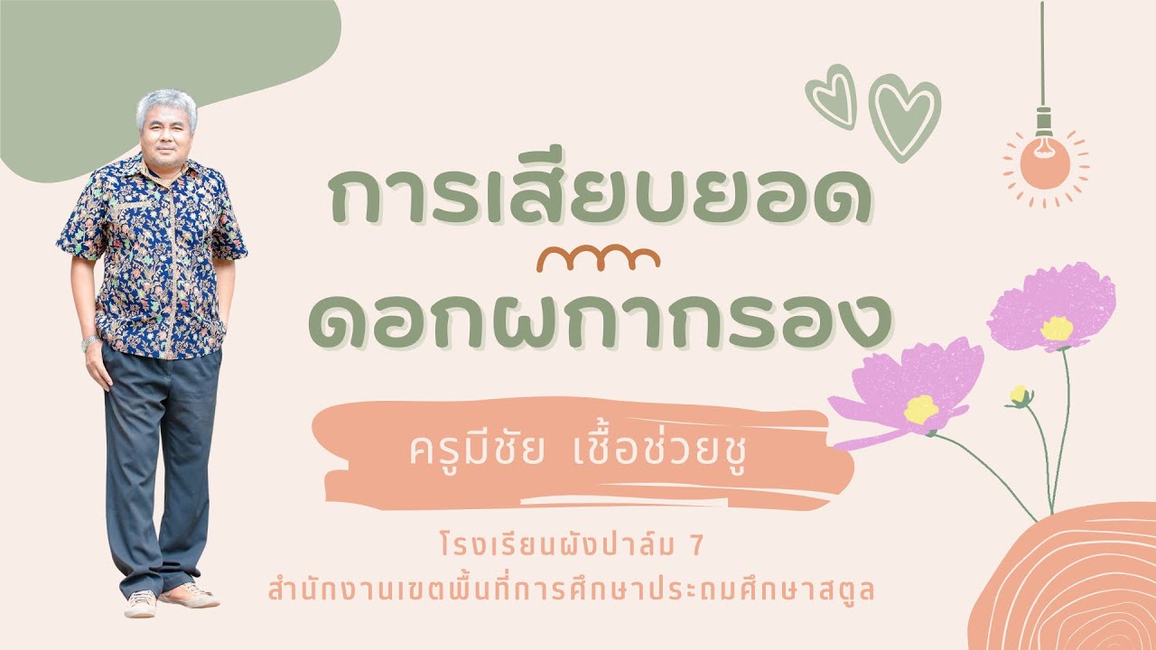 วิธีการเสียบยอดดอกผกากรองหลากสี ขั้นตอนการเสียบยอด