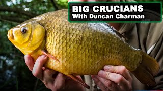 SPECIMEN CRUCIAN CARP TIPS | As seen on Hampshire Angling TV