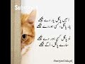 Funny Punjabi Poetry Viral Shorts