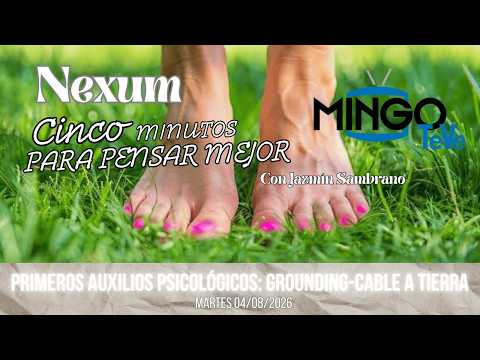 NEXUM: Five minutes to think better / PFA: GROUNDING / Tuesday, August 04, 2026