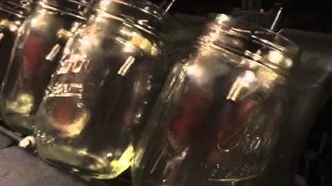 Flow testing fuel injectors with megasquirt efi