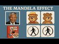 The Mandela Effect - Collective False Memories or Parallel Universes? | Fiona Broome | Pikachu Tail