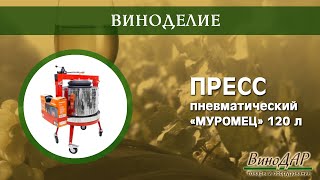 Пресс пневматический &quot;Муромец&quot; 120 л