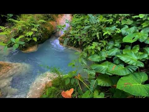 Serene River Soundscape