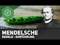 Mendelsche regeln  einfhrung