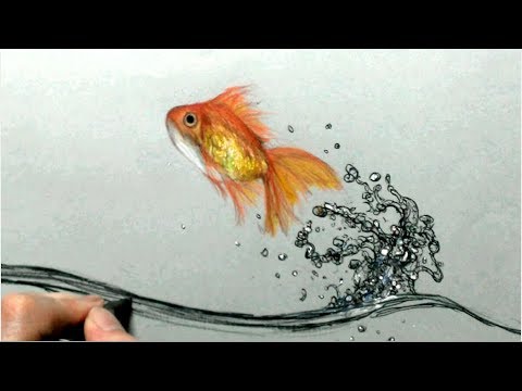 色鉛筆で金魚と水しぶきを描いてみた 水の描き方 Draw A Goldfish Youtube