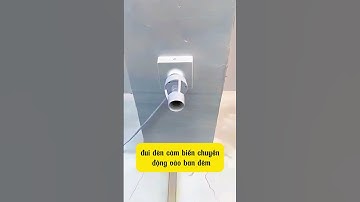 Đui đèn cảm biến chuyển động thông minh, tự động sáng khi có người di chuyển qua.