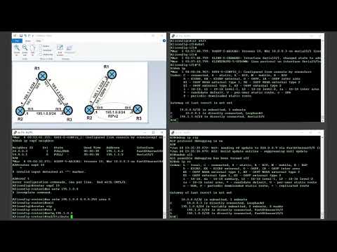Настройка обмена маршрутами OSPFv2 / RIPv2.