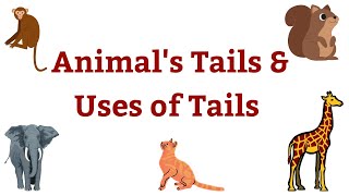 Animal Tails & Their Uses