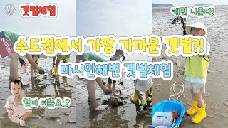 첫 갯벌체험 최적의 장소! 마시안해변에서 조개 한가득 잡아오기🪣