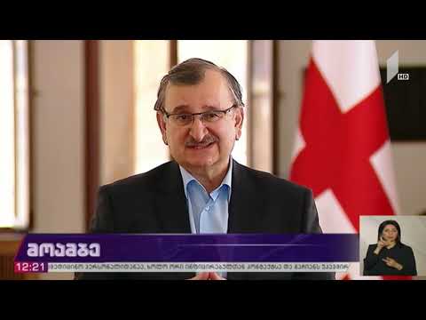 პოლიტიკური  შეფასებები გიორგი რურუას საქმესთან დაკავშირებით