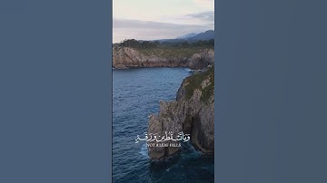 راحة نفسية 💚ة @قرآن @quran @ماهر المعيقلي @قران كريم @راحة نفسية @تلاوة خاش HD