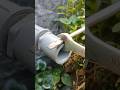 Helpful trick! How can you unscrew the threaded pvc socket if you don't have a key?