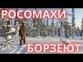 ОХОТА НА СОБОЛЯ Серия № 22 Весна Росомахи атакуют Соболь