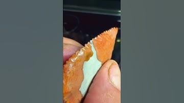 I just love flint knapping, this material is jasper from Madagascar #flintknapping #jasper