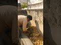#funny #farming #comedy #song #automobile #gaam #gaav #farmerworld #farminglife
