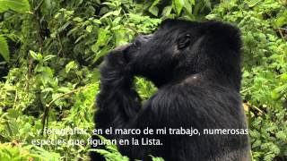 The IUCN Red List: Guiding Conservation for 50 years - Spanish subtitles