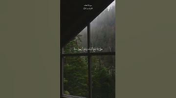 « وَوَصَّيْنَا الإِنسَانَ بِوَالِدَيْهِ إِحْسَانًا » تلاوة خاشعة بصوت الشيخ بدر التركي