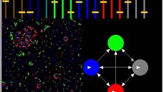 Primordial Particle Experiment with 4 particles. Profile
