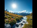 Bright Noon Energy: Vibrant Nature Melodies ☀️🌿