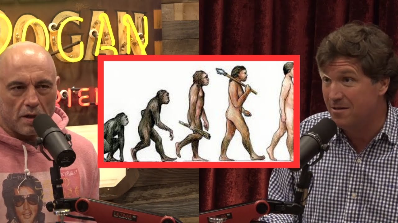 Joe Rogan Evolution Primate