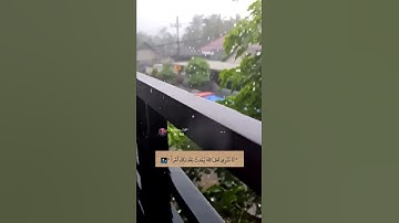 قرآن كريم بصوت الشيخ رعد الكردي حالات واتس اب راحه وهدوء