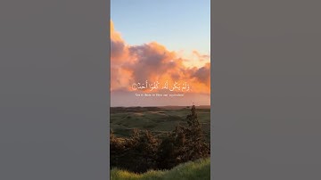 القرآن الكريم  سورة الإخلاص  #عبدالرحمن_مسعد  #قران_كريم #اكسبلور