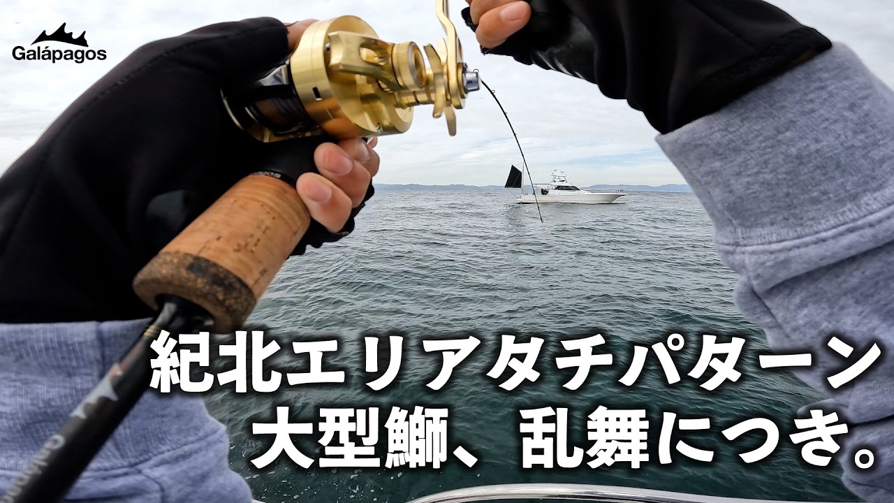 【ジギング】紀北タチパターン開幕！このジグに巨ブリが狂う