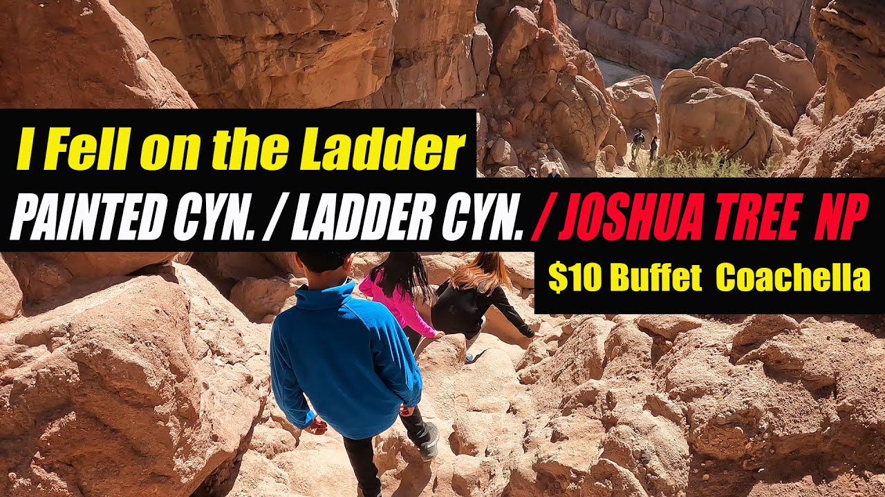 Painted Canyon Trail / Ladder Canyon / Joshua Tree NP Hiking / Off-Road Jeep Gladiator