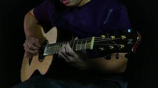 AdamCHAN Guitars Spruce Ziricote 017