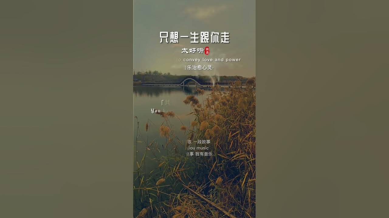 太好听/只想一生跟你走