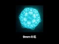 Regallily - 9mmの花