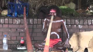 Австралийский Папуас играет на диджериду. Сидней, Австралия. Papuan playing the didgeridoo. Sydney