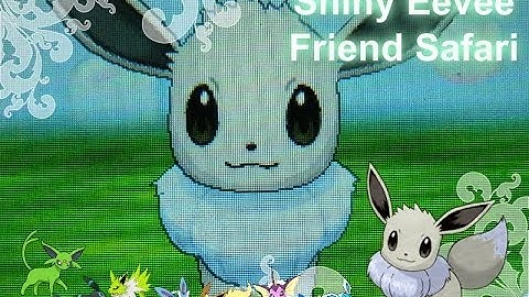 Shiny Eevee Friend Safari