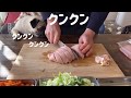 パグあんこ柴犬ゴン太超簡単手作りごはんpug shiba inu