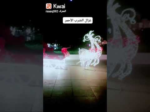 غزال الضرب الأحمر