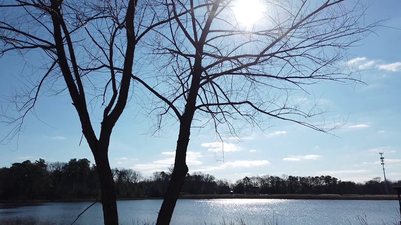 Creative Communities Saybrooke in Pasadena, MD YouTube