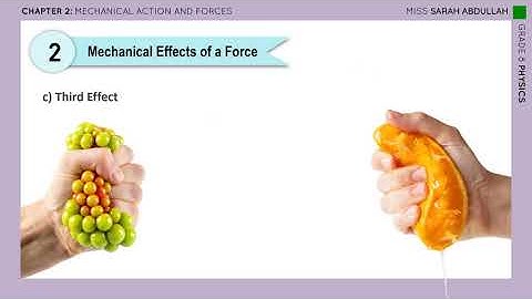 Physics - Mechanical Action and Forces (1/3) - Grade 8