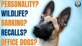 Barking, Broken Recalls, Wildlife, Dog Trainer Personality And More Questions Answered #192 #podcast