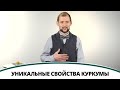 Уникальные свойства куркумы | Полезная минутка