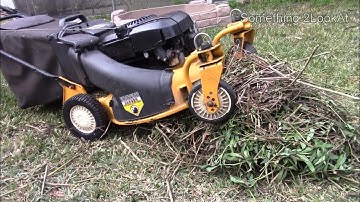 Lawn Mower ASMR #3 - Mowing and bagging trimmings - Satisfying!!