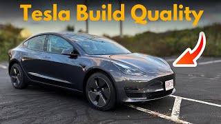 Tesla Model 3 RWD 2023 Build Quality Analysis | The Cheapest Tesla