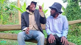 Villagers' Analysis on countries with Best Education Systems in Africa 🤔🤔🤔